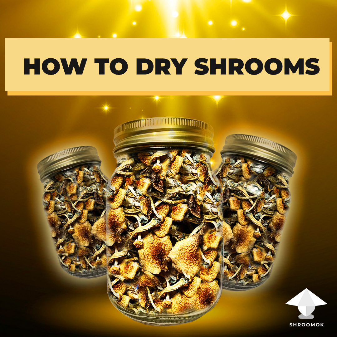 How To Dry Mushrooms Using A Food Dehydrator 