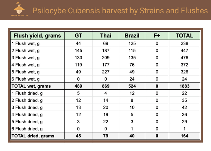 Growing statistics: Psilocybe Cubensis yield by strains and flushes