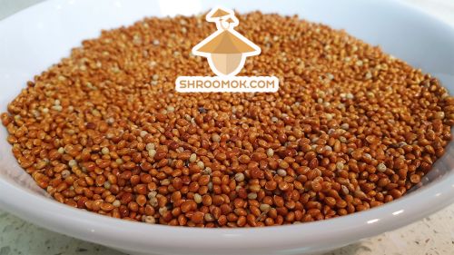 Millet for mushroom spawn