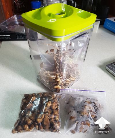 Store magic truffles in airtight bags or jars in refrigerator