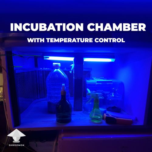 Incubator with automated temperature control for mushrooms