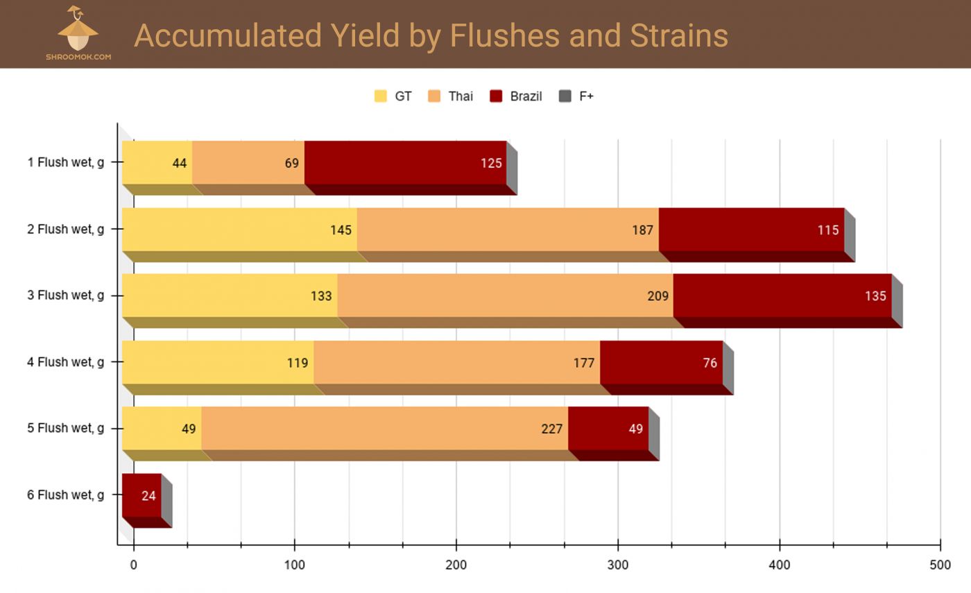 Magic mushrooms growing statistics with charts