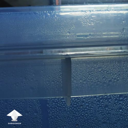 Condensation in growbox or monotub for mushroom growing as a sign of high relative humidity