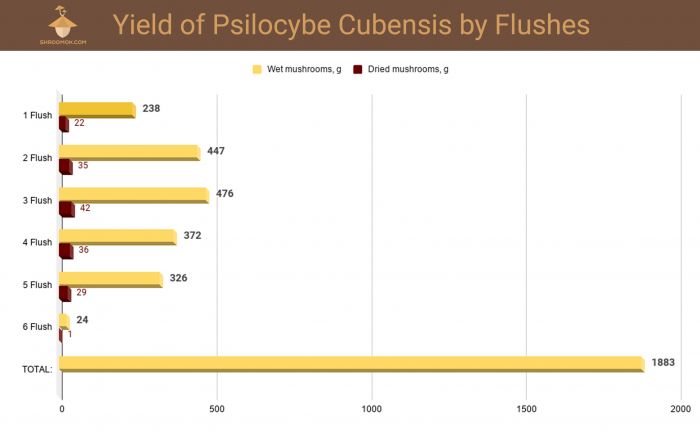Yield of Psilocybe Cubensis by Flushes