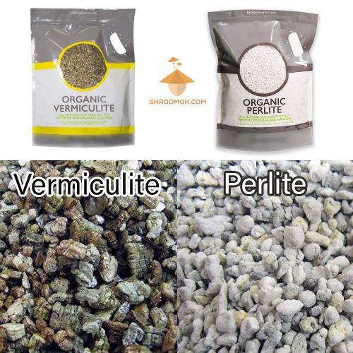 Perlite and vermiculite as a drainage for substrate for growing magic mushrooms