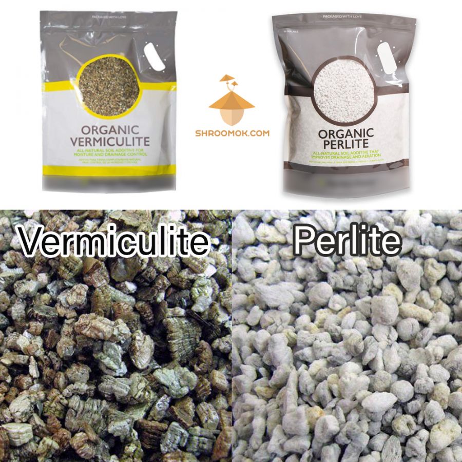 Making mushroom cake, spawn to bulk, and casing