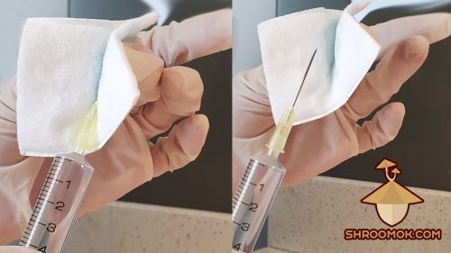 Wipe syringe needle with cotton pad soaked in alcohol before inoculating grain substrate