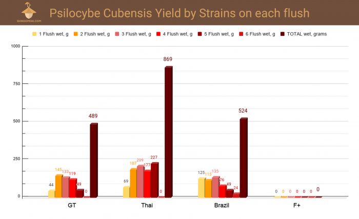 Graph of psilocybin mushrooms yield by strains and flushes (g)