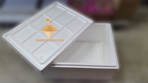Styrofoam box as incubator for mushroom growing