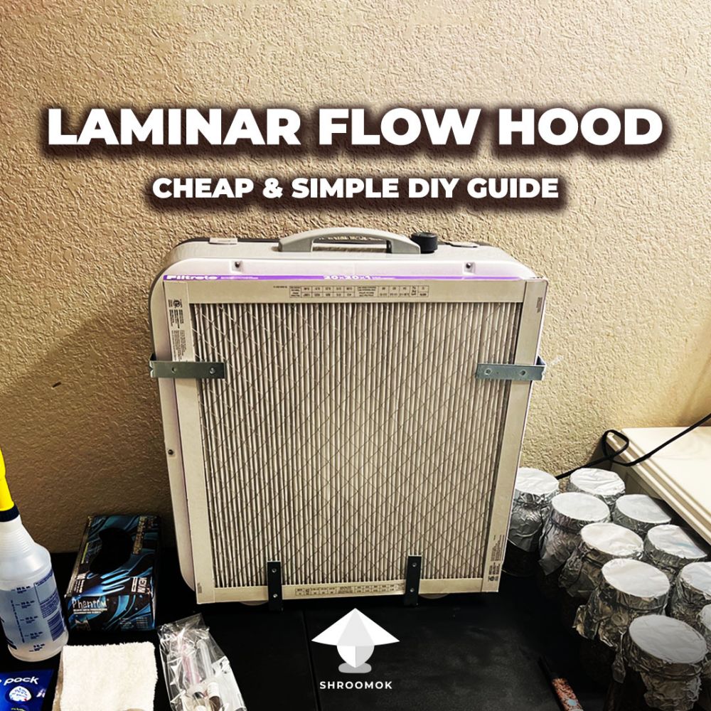 How I built my first laminar flow hood for home mycology