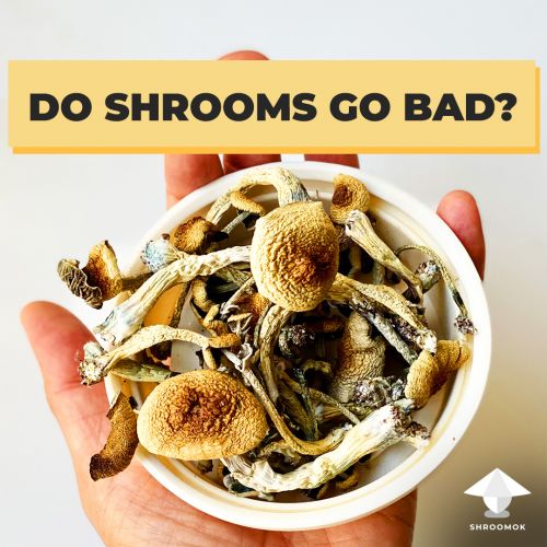 Do shrooms go bad?