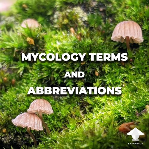 Mycology terminology, mycology terms, glossary of mycology terms and popular abbreviations in mushroom cultivation