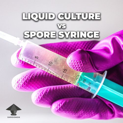 Liquid mycelium syringe vs liquid spore syringe