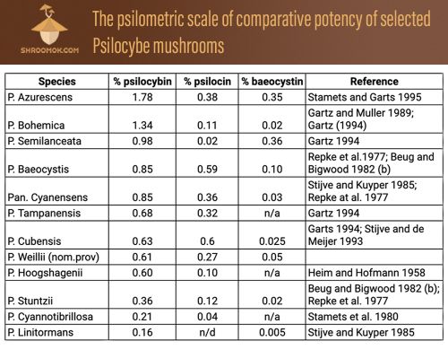 Magic mushrooms potency by species