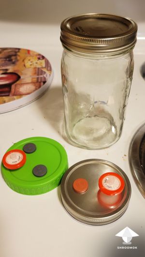 Mason jars and modified lids with air filter and inoculation port