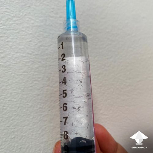 Spore syringe