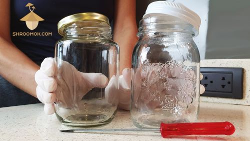 Glass jars for substrate with metal lids. Spawn jars for psilocybin mushrooms cultivation