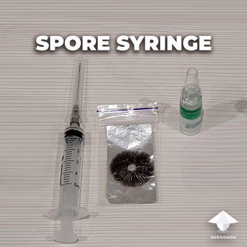 Spore syringe preparation