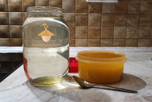 Rehydrating magic mushroom cake with honey (or sugar): 1 tablespoon of honey (or sugar) per 1 liter of water
