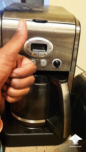 Brew coffee in coffee maker to get coffee substrate for mushroom growing