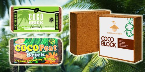 Coco brick for casing layer for psilocybin mushrooms cultivation