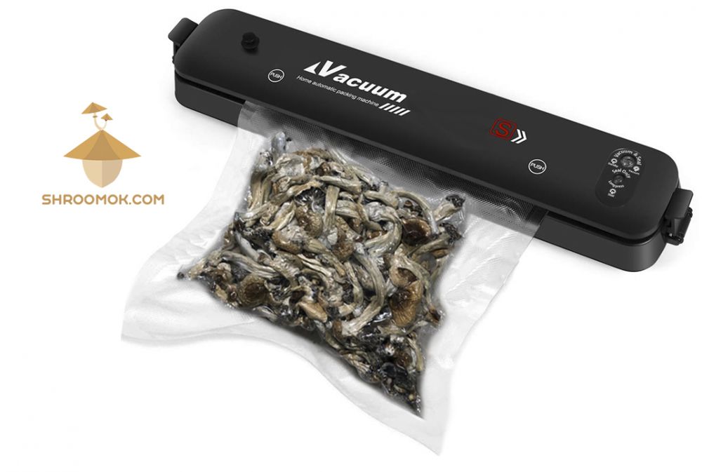 How to dry and store psilocybe mushrooms