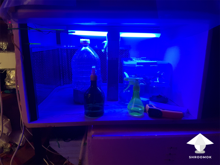 How to build automatic incubation chamber for mushrooms