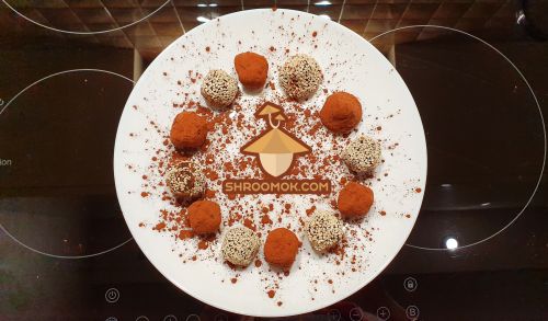 Chocolate candies with psilocybe cubensis mushrooms
