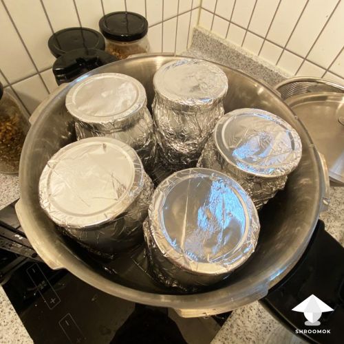 Grain substrate in jars ready for sterilization in pressure cooker