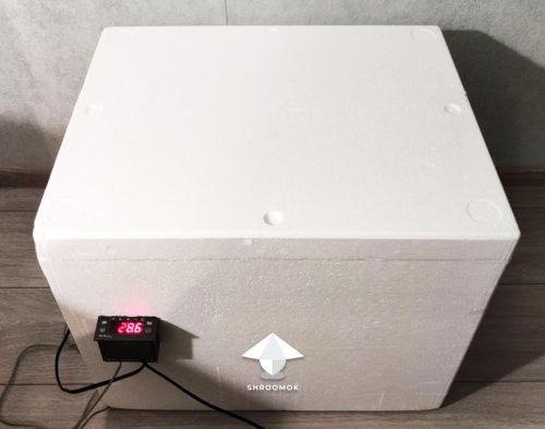 Styrofoam incubator for mushrooms with thermostat