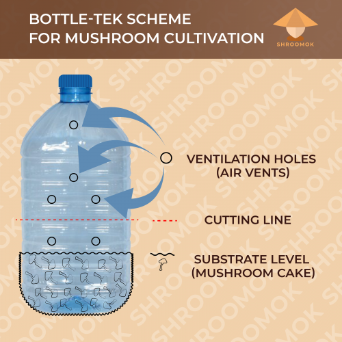 Bottle-tek scheme for mushroom cultivation