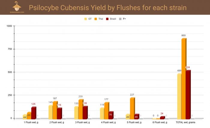 Psilocybin mushrooms growing statistics. Graph of Psilocybe Cubensis yield by flushes and strains (Golden Teacher, Thai, Brazil, F+)