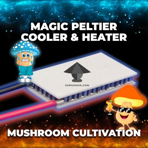 Peltier cooling or heating for mushroom cultivation