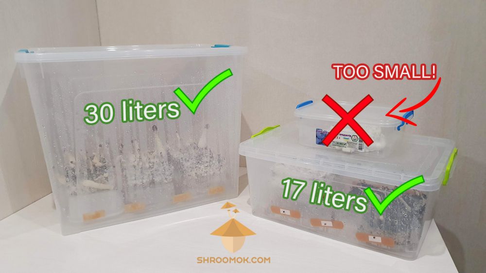 DIY Grow Box for Magic mushrooms. Fruiting conditions Shroomok Let