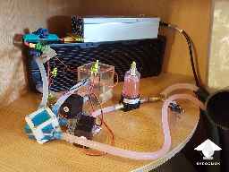 Thermoelectric cooler for mushroom cultivation