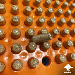 Mushroom capsules for microdosing