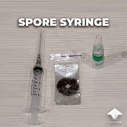 How to make spore syringe