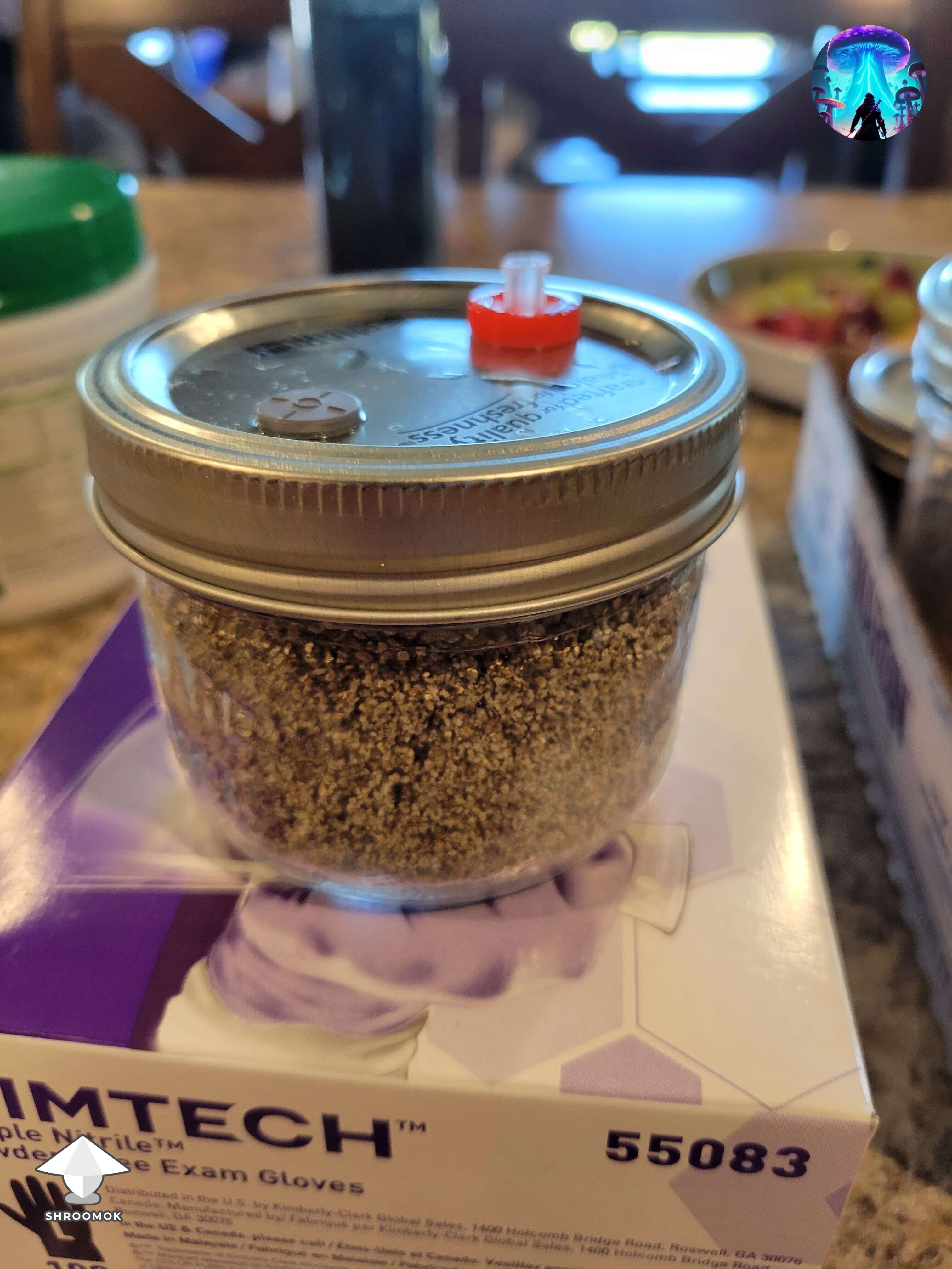 Wrong filters for grain jars or temperature influence - more in comments #2
