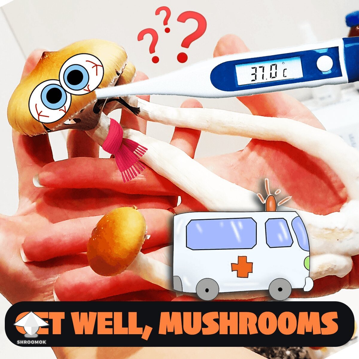 Mushroom Ambulance