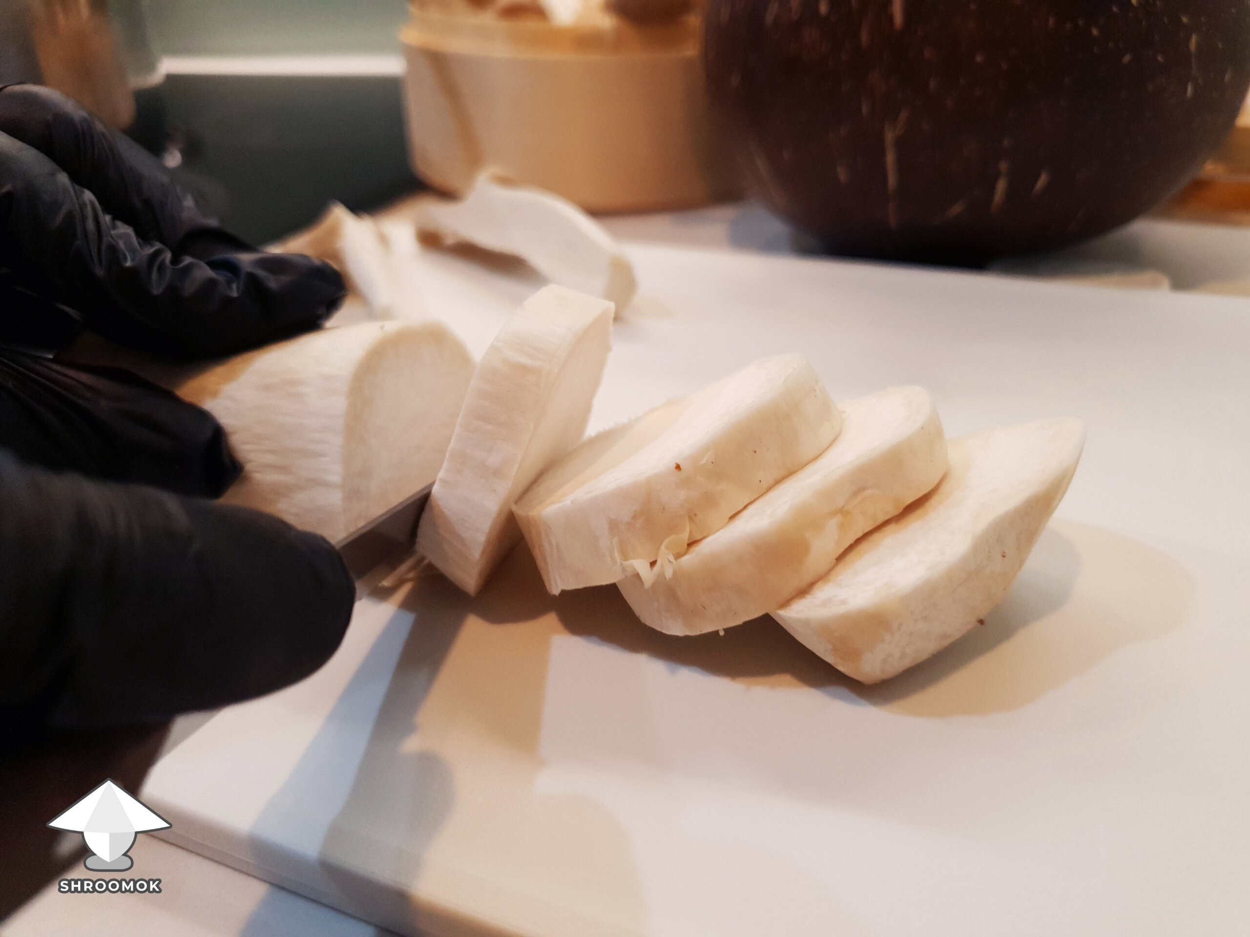 Chop the mushrooms fermentation recipe 