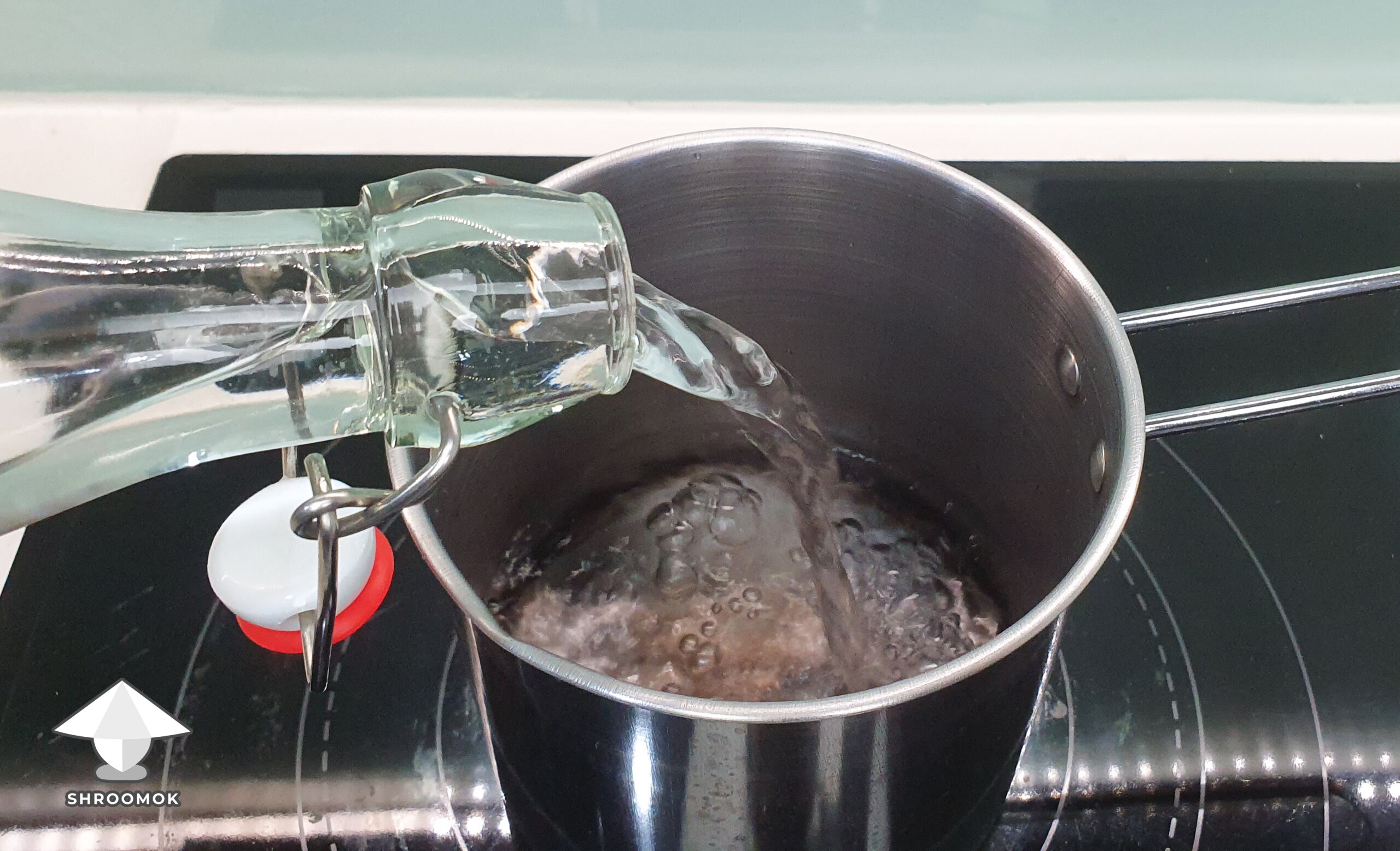 Fill the pot with water for brewing reishi drink