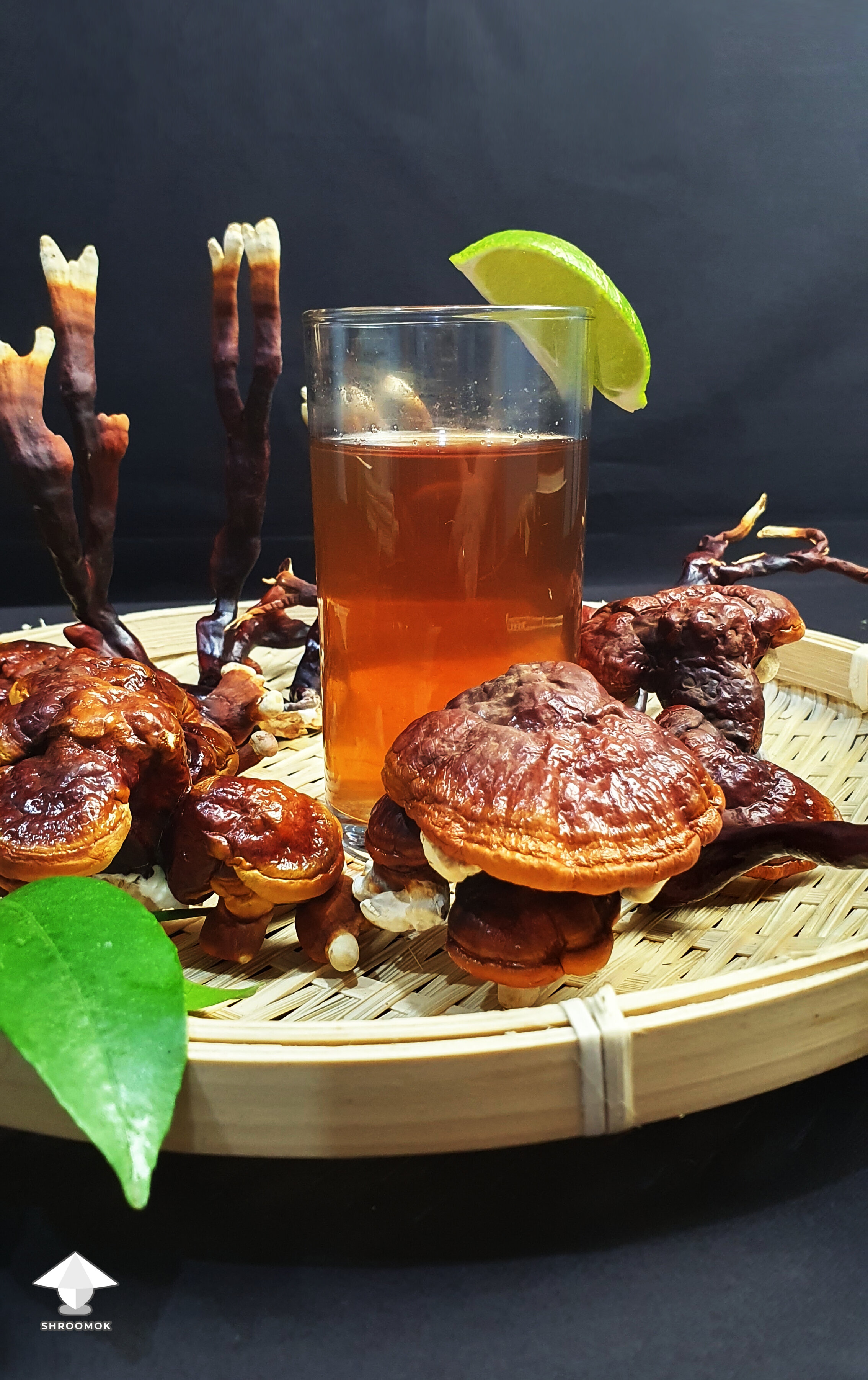 Reishi for making adaptogenic healthy drink