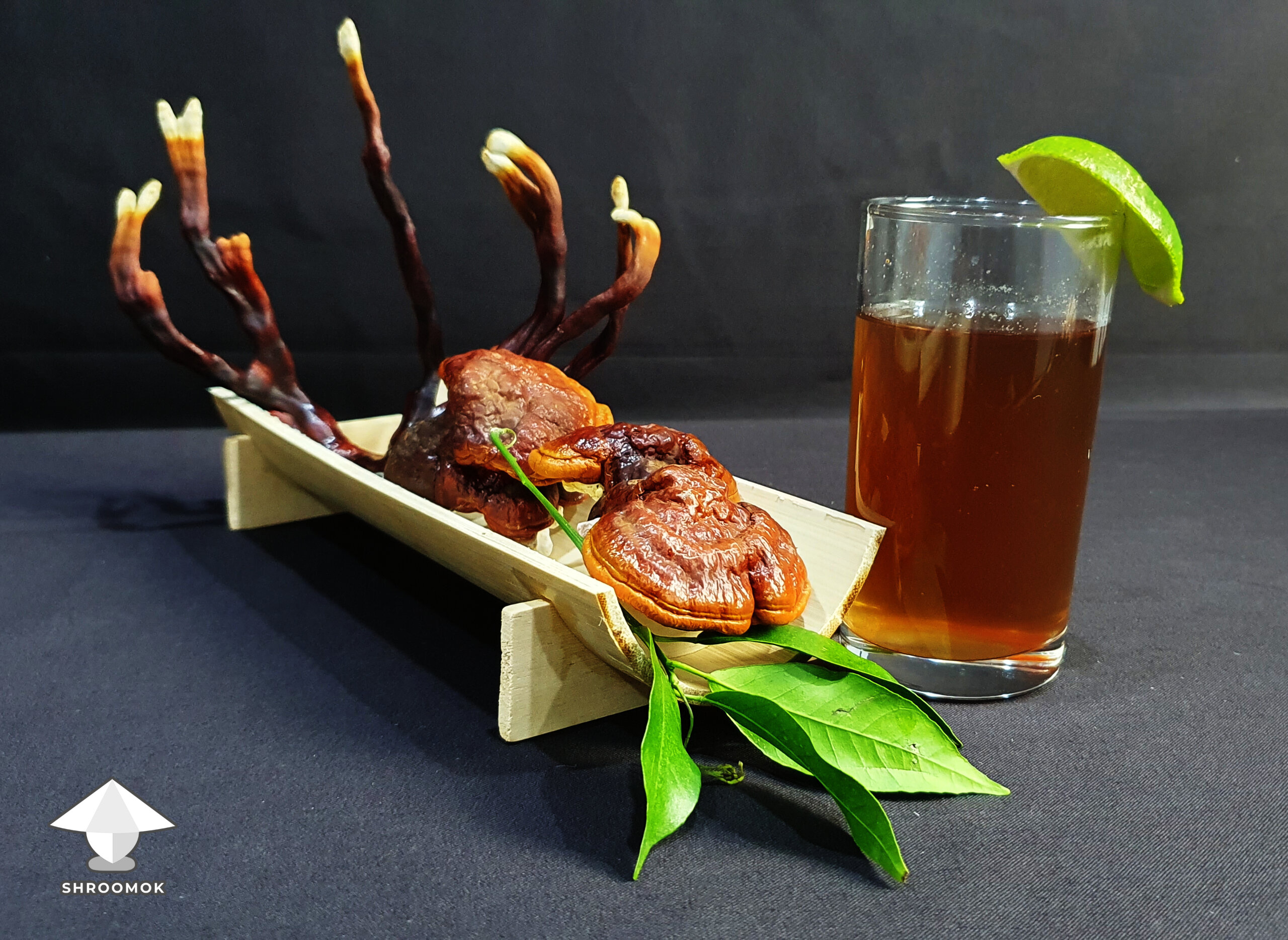 Reishi tea what it tastes like