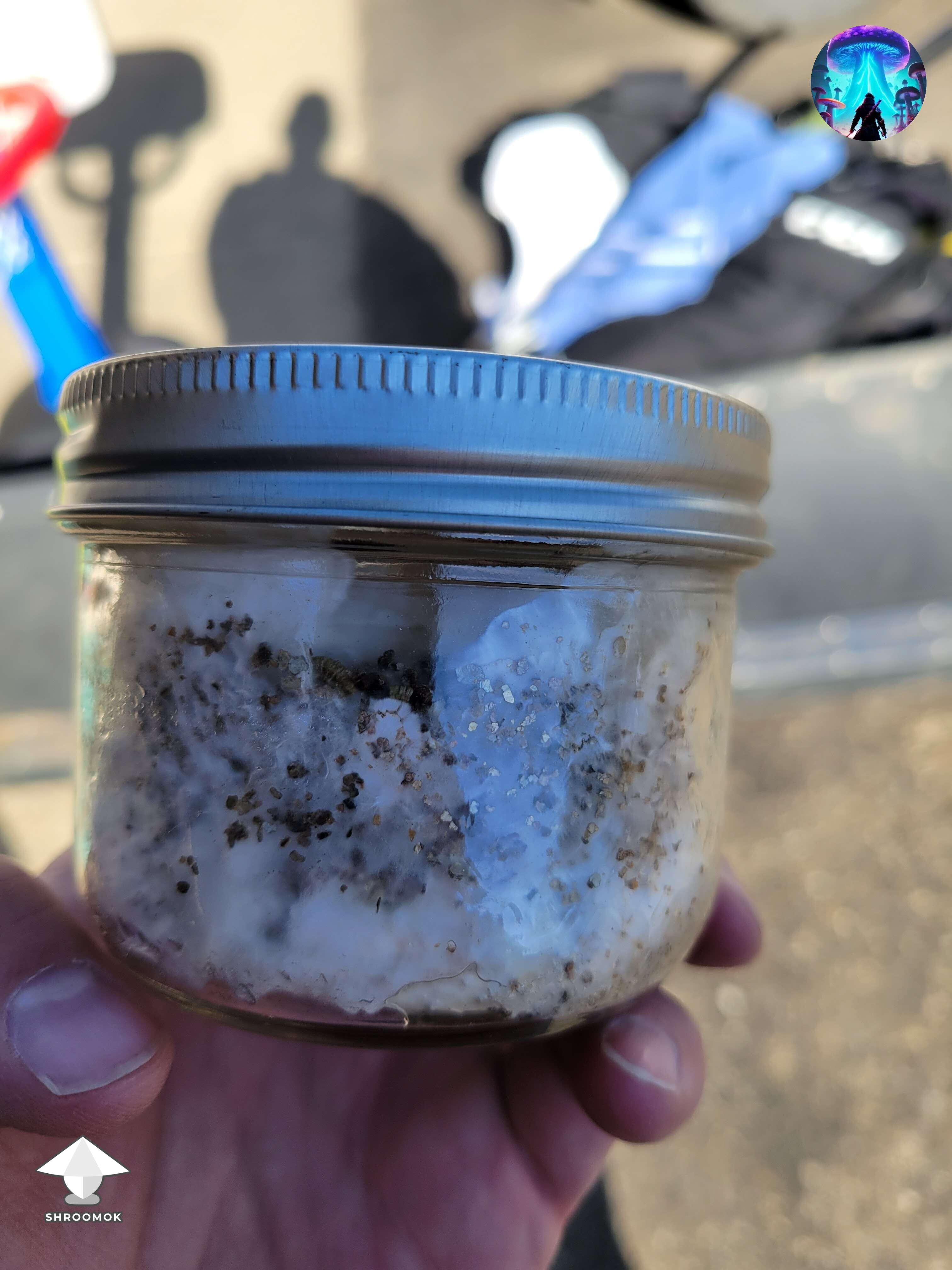 Wrong filters for grain jars or temperature influence - more in comments