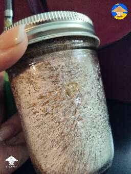 Some mycelium metabolites