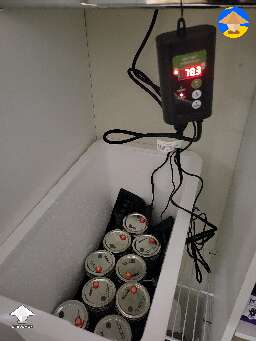 Finished the start of my first ever grow.  Innoc'd 9 brf cakes and 2 Lc's tonight, now we wait #2