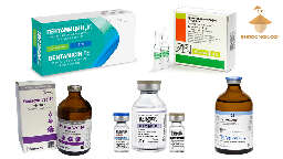 Antibiotic gentamicin