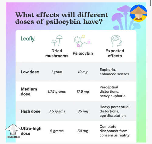 What effects will different doses of psilocybin mushrooms have? Magic mushrooms doses and effects chart