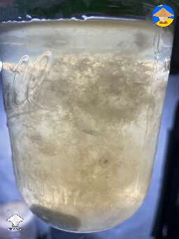 Good liquid culture example
