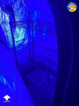 Grow tent preparation
